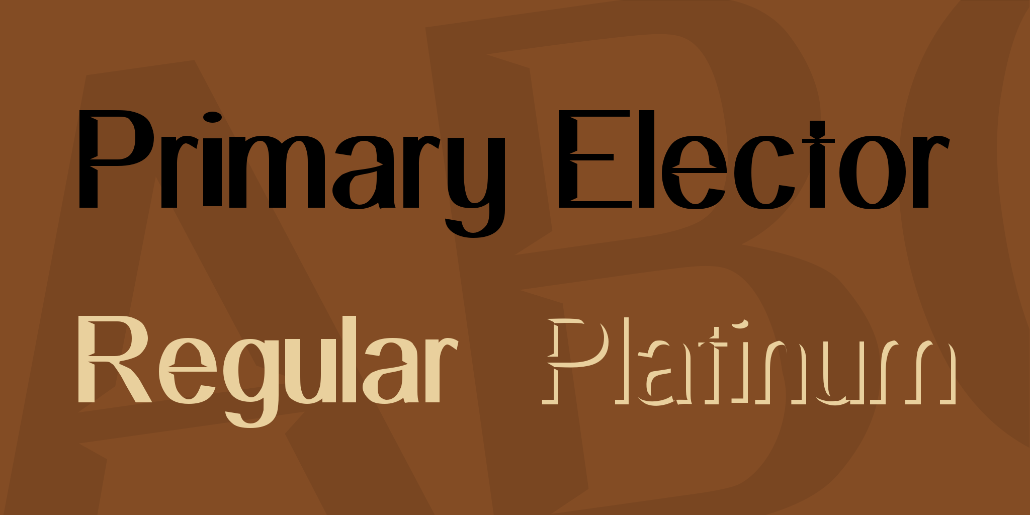 Primary Elector