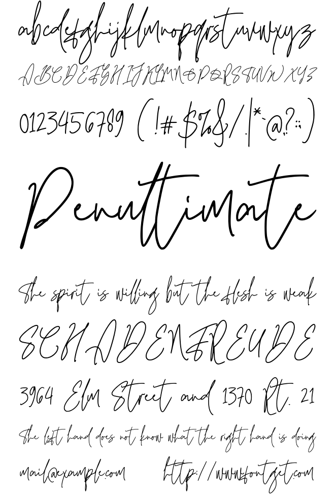 Qinderia Signature Font