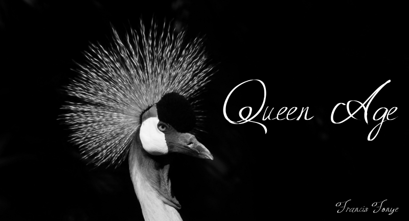 Queen Age