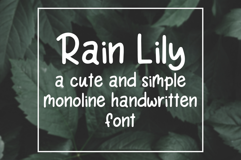 Rain Lily