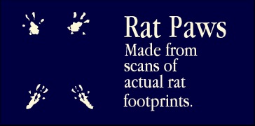 Rat Paws