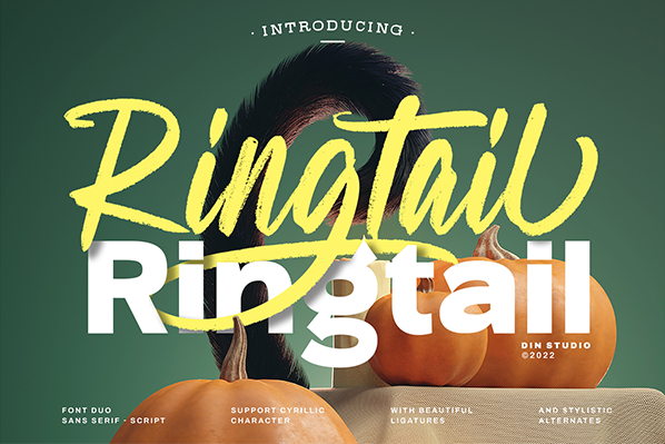 Ringtail Sans Serif