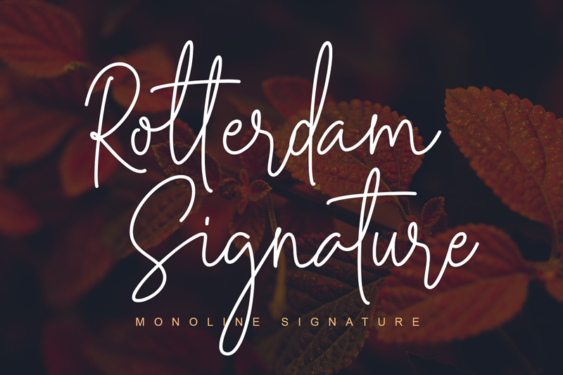 Rotterdam Signature