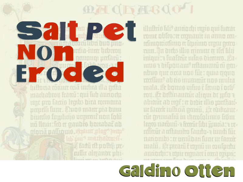 Salt Pet Non Eroded