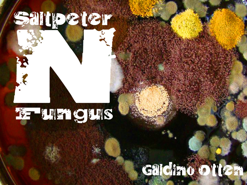 Saltpeter N Fungus