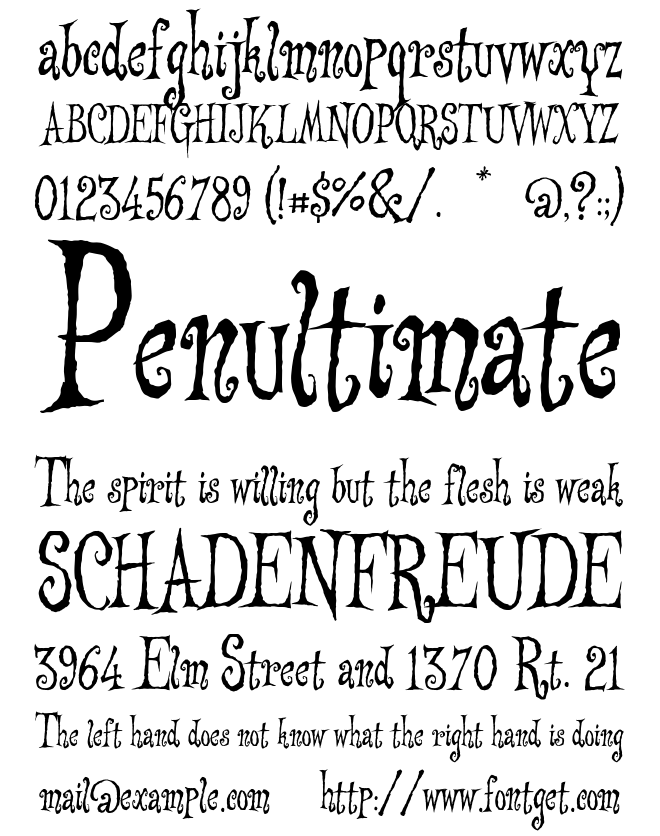 Searle Font