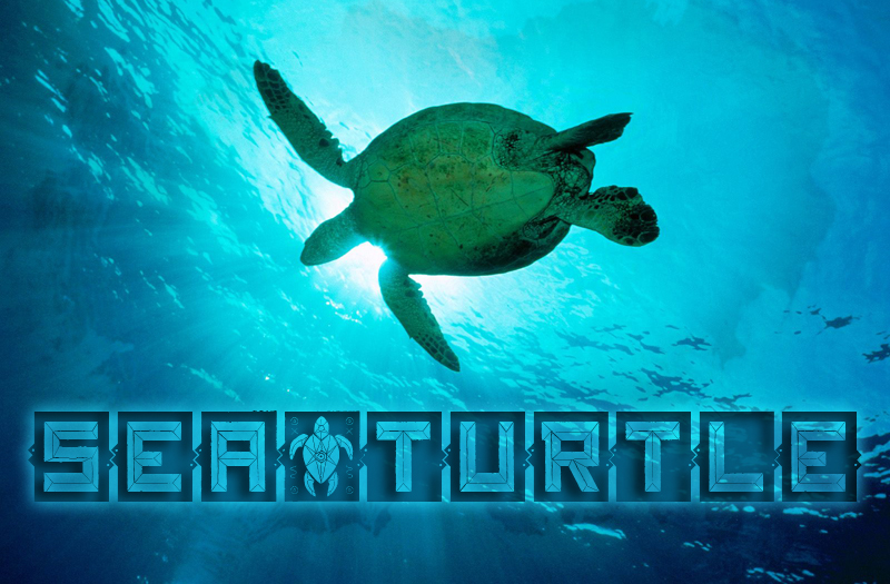 Sea & Turtle