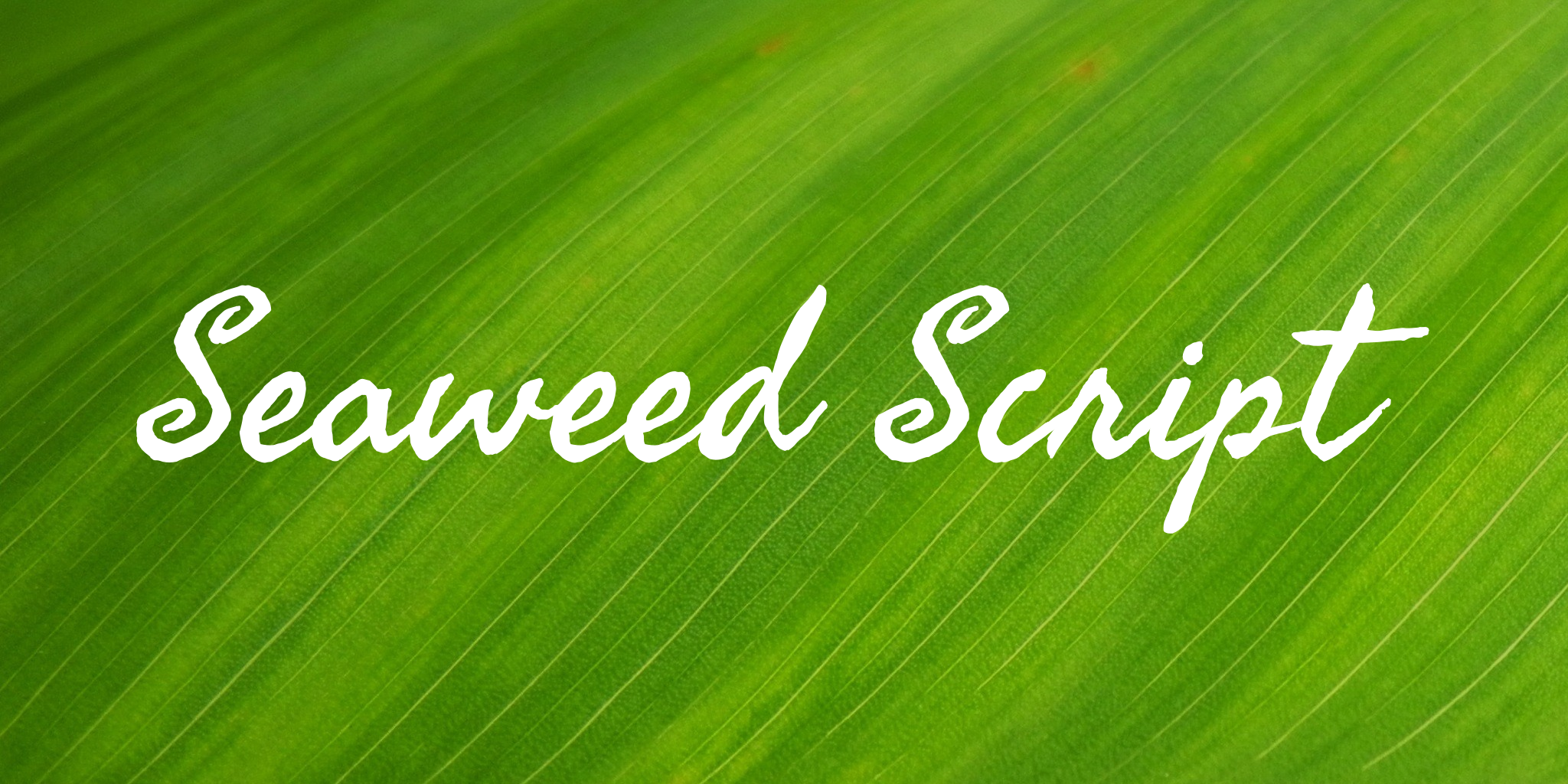 Seaweed Script