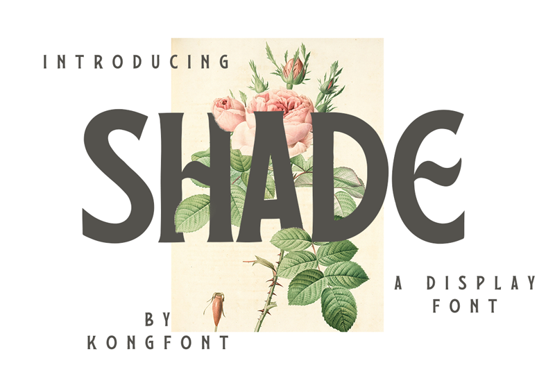 Shade