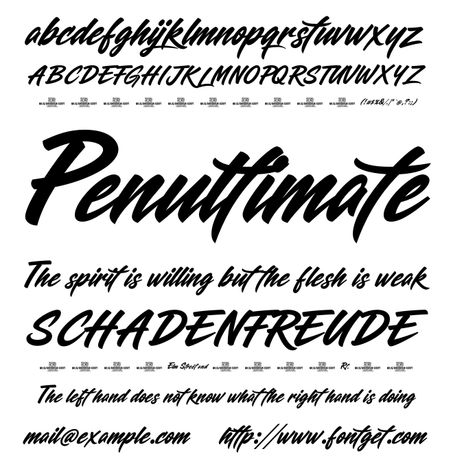 Shorebreak Script Font