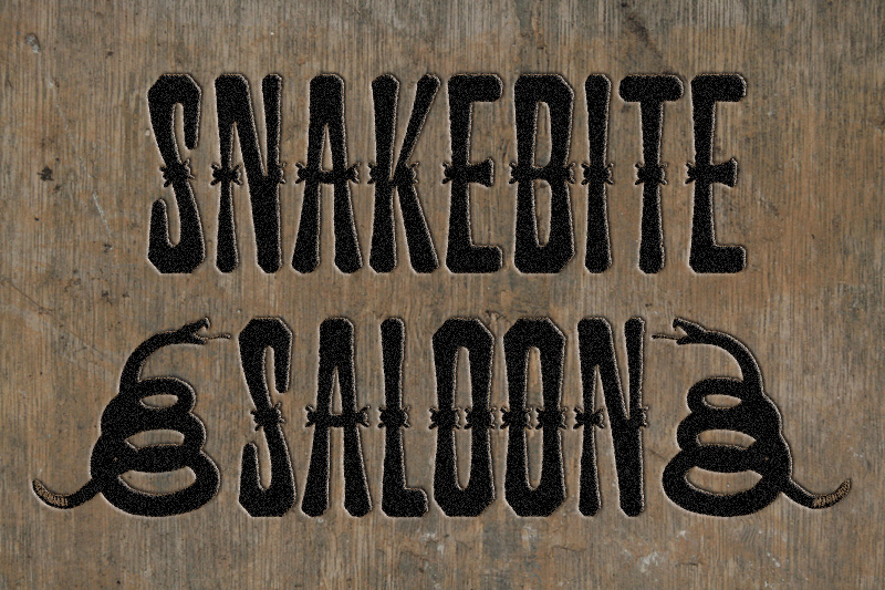 Snakebite Saloon