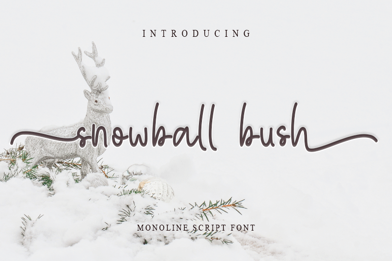 Snowball Bush