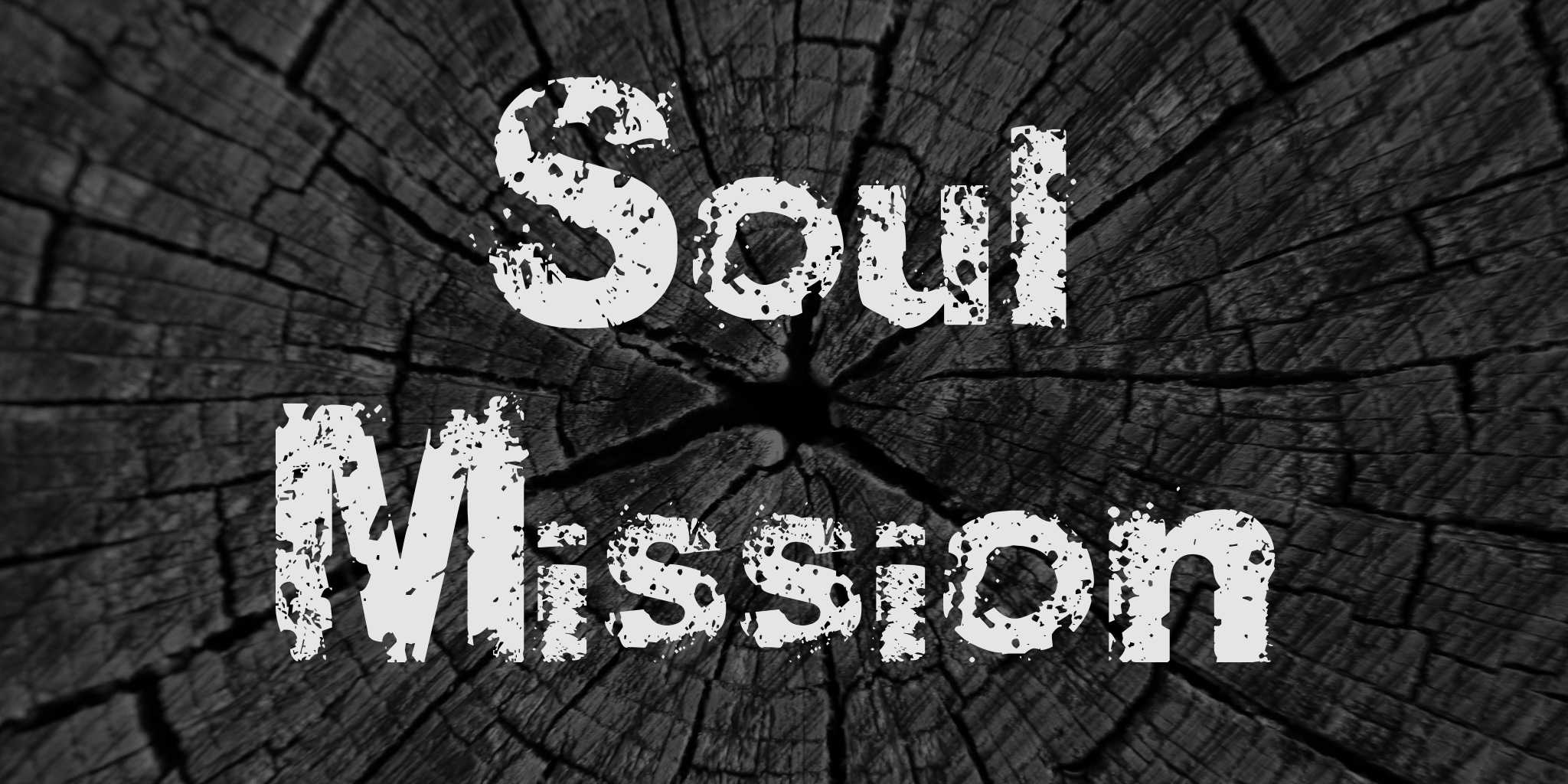Soul Mission