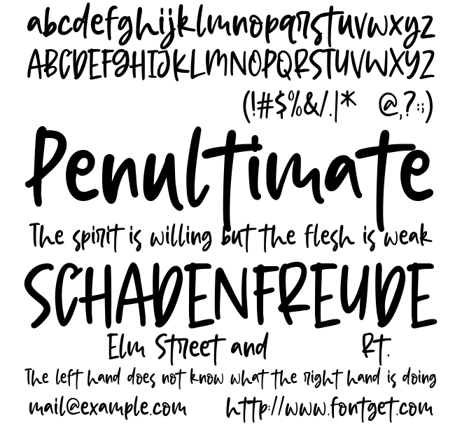 Star Blossom Font