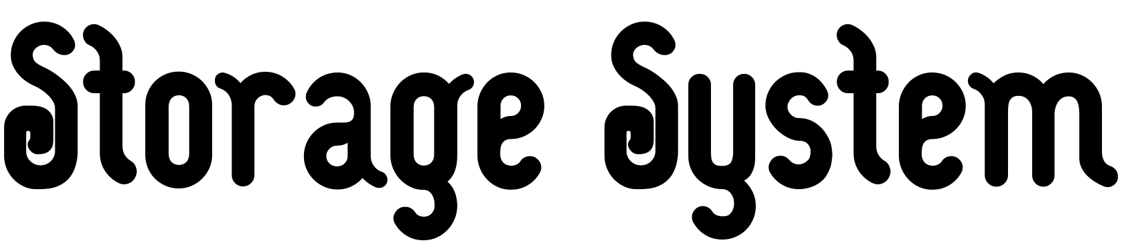 Storage System