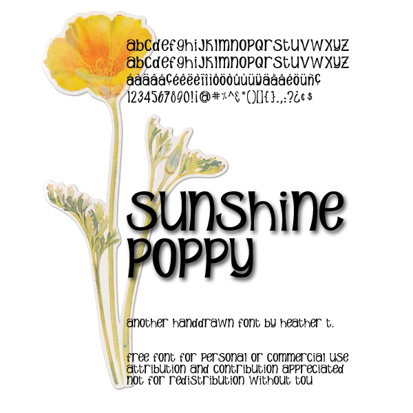 Sunshine Poppy