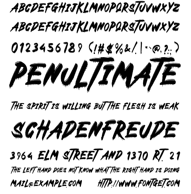 Tacurse Font