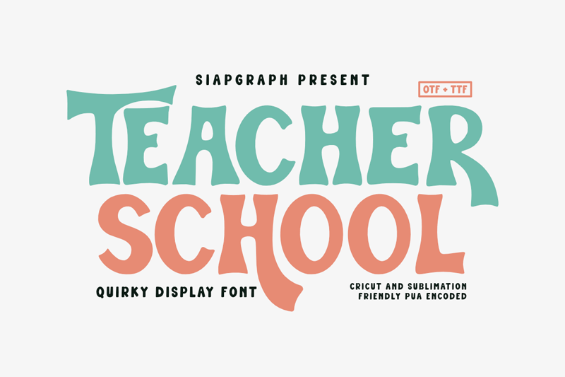 Teacher School