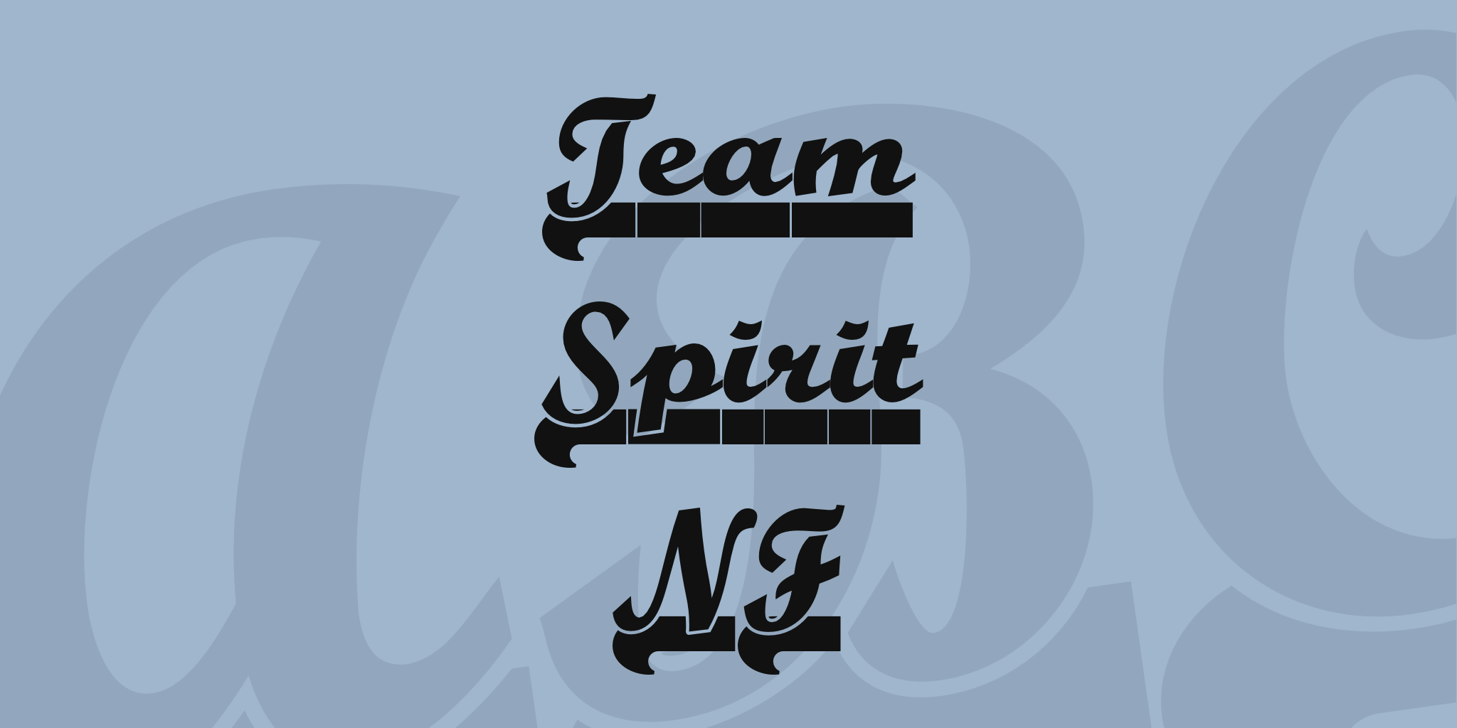 Team Spirit Nf