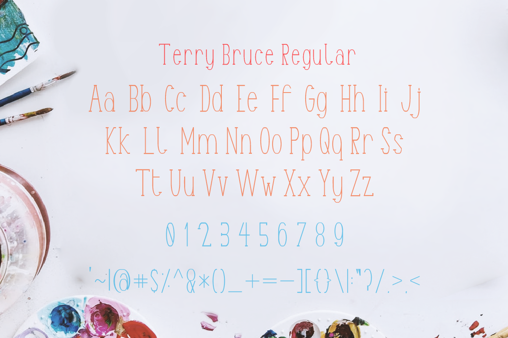 Terry Bruce