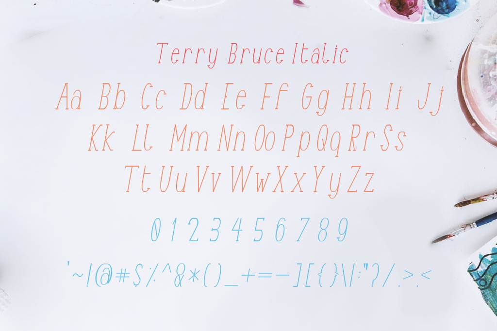 Terry Bruce