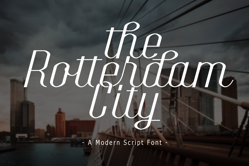 The Rotterdam City
