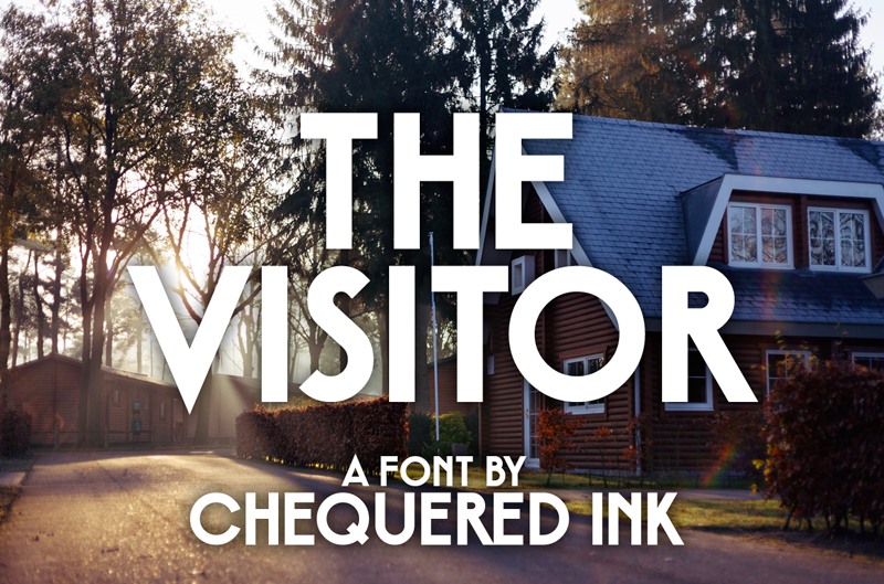 The Visitor