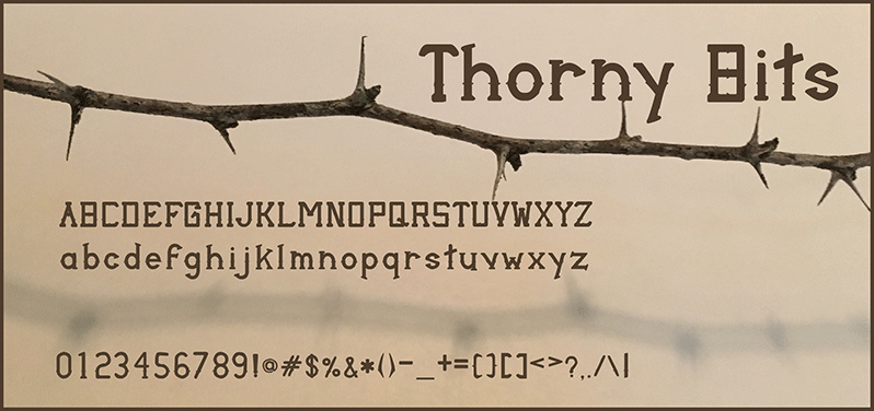 Thorny Bits