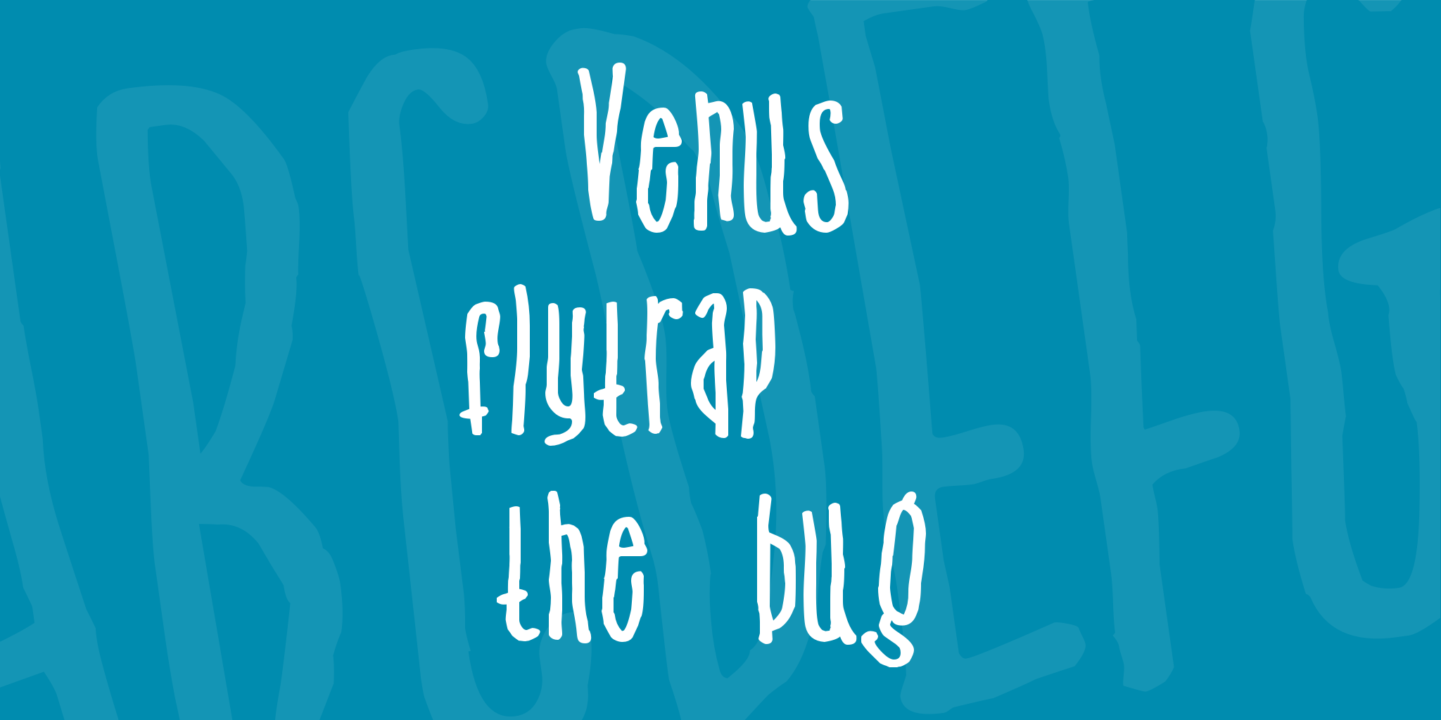 Venus Flytrap The Bug