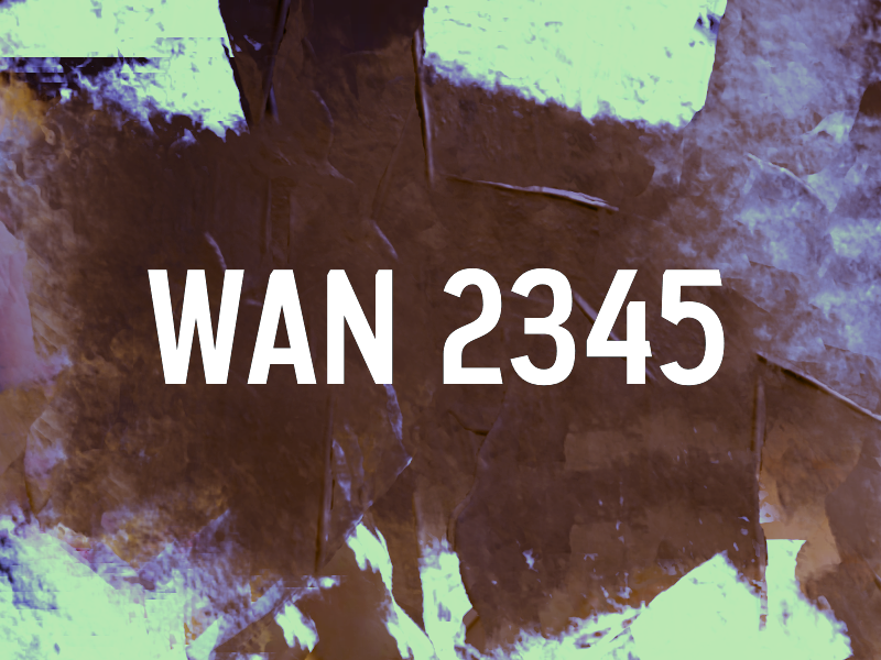 Wan 2345
