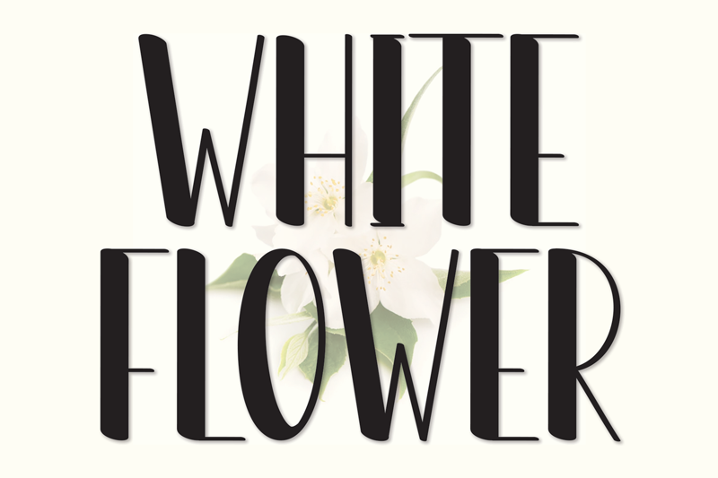 White Flower