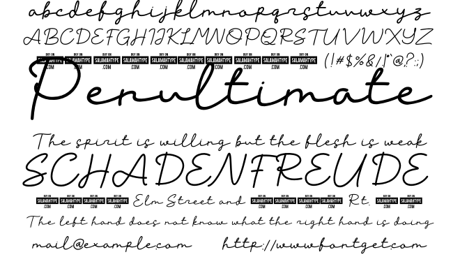 Willy Schaden Font