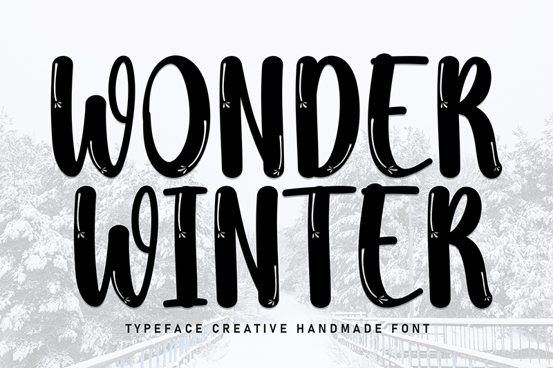 Wonder Winter