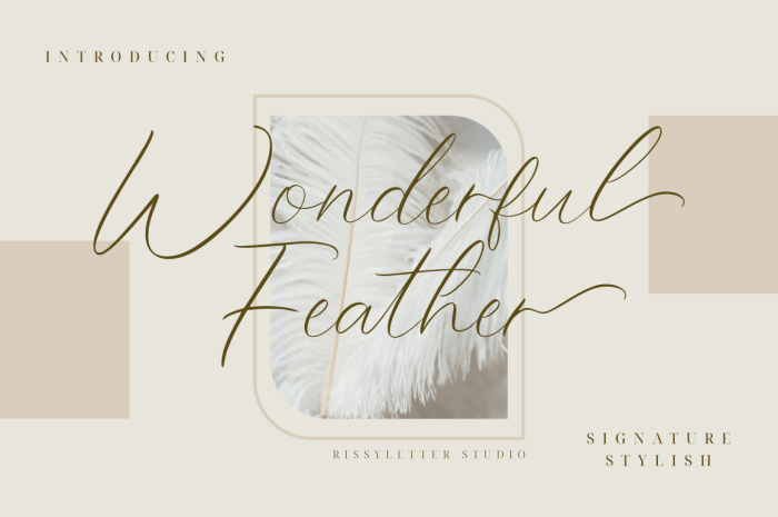 Wonderful Feather