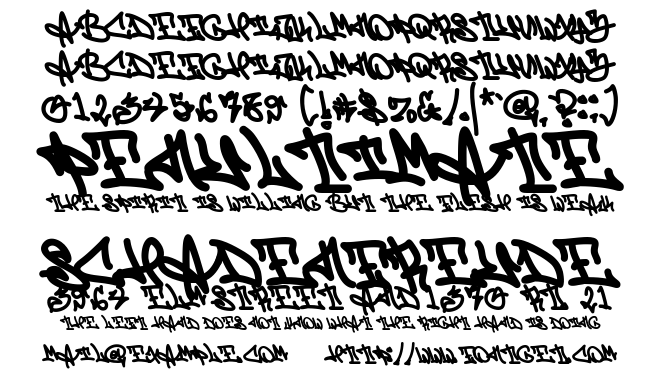 Zebra Script Font