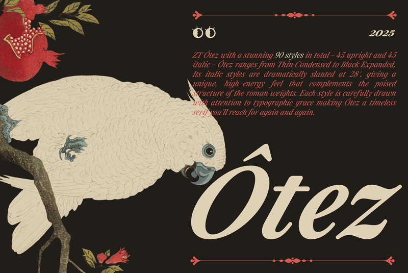 ZT Otez